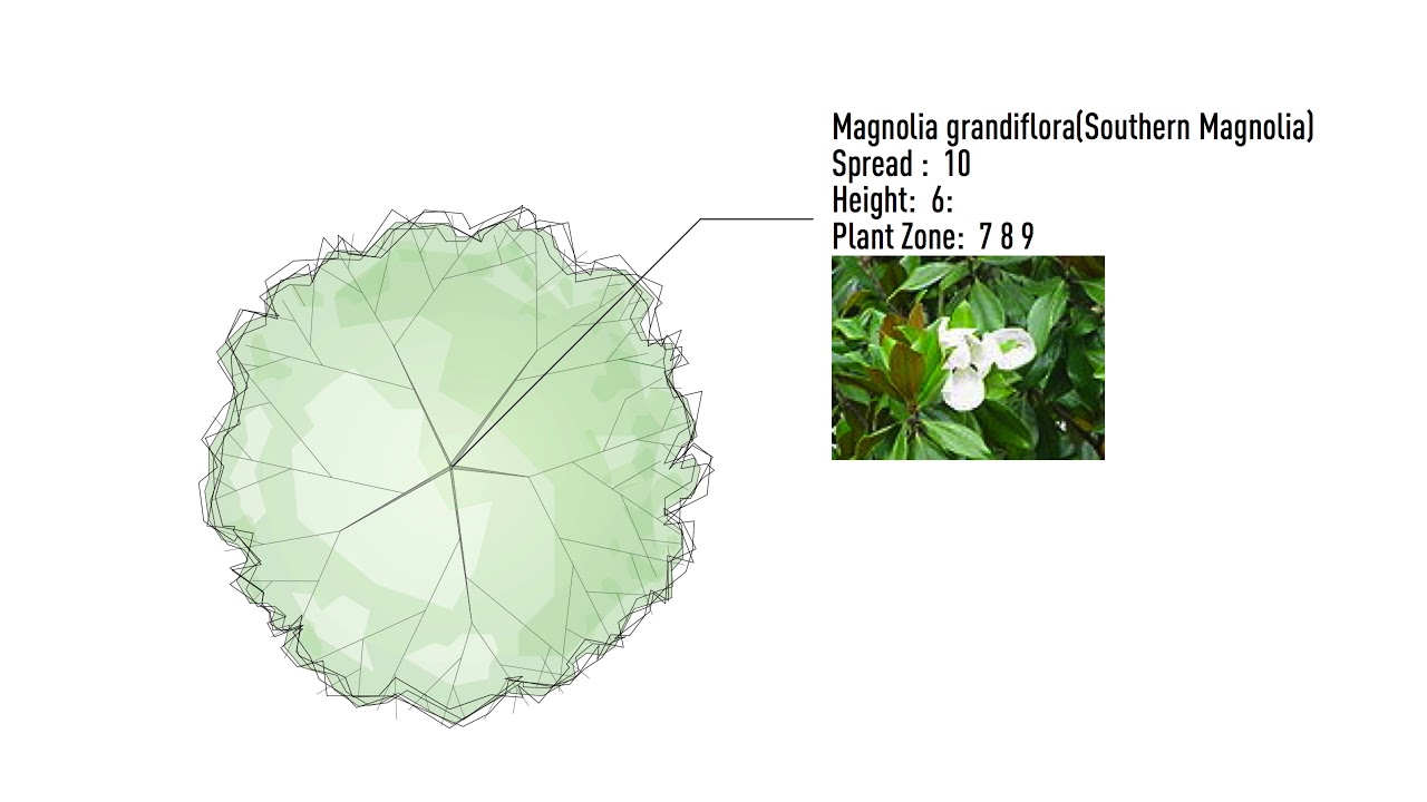 Site Design - Plant Tags