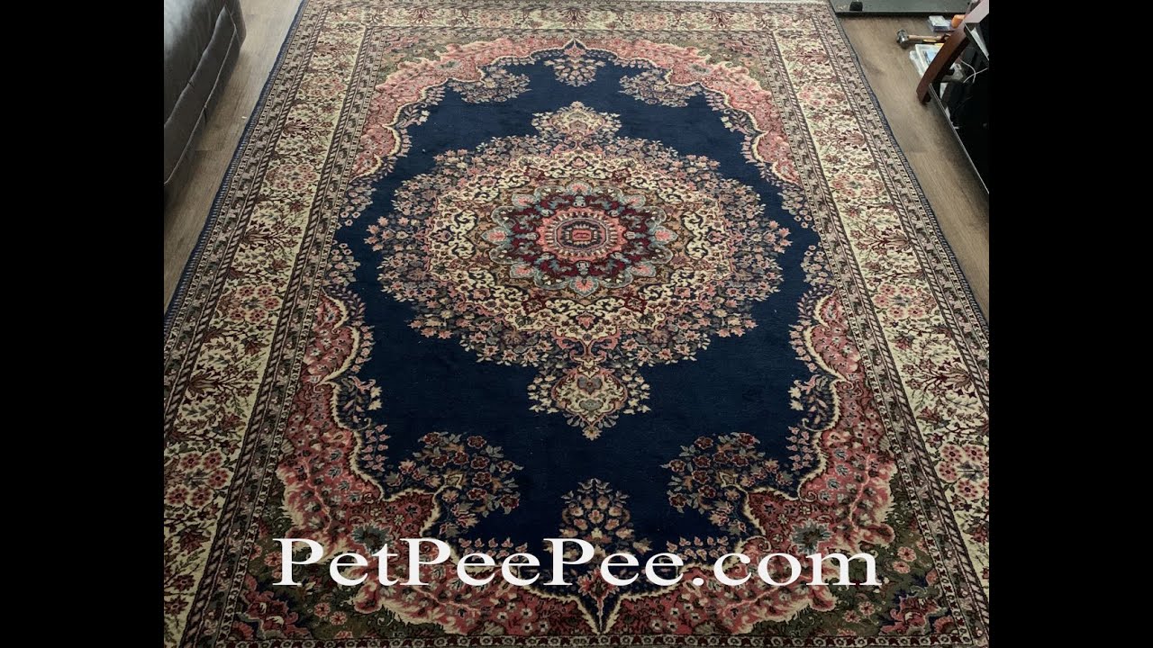 How Organic Cleaner Works On A Persian Rug | By the PetPeePee company