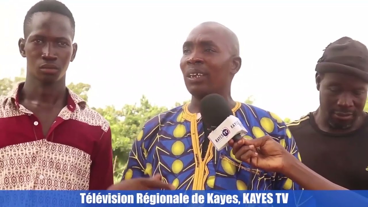 Diaspora - #Kayes_France ( #soninké )
