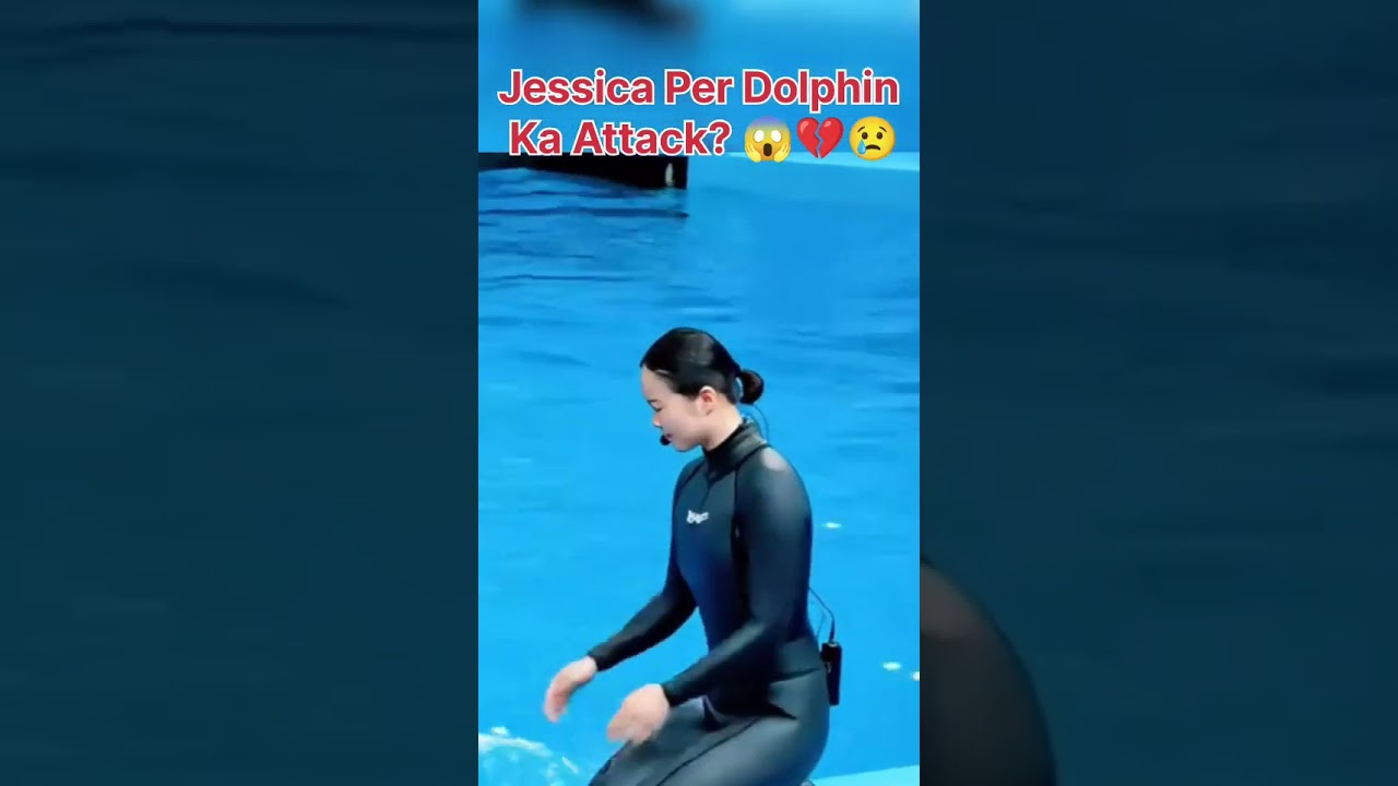 Dolphin ka Jessica par Attack! 😱