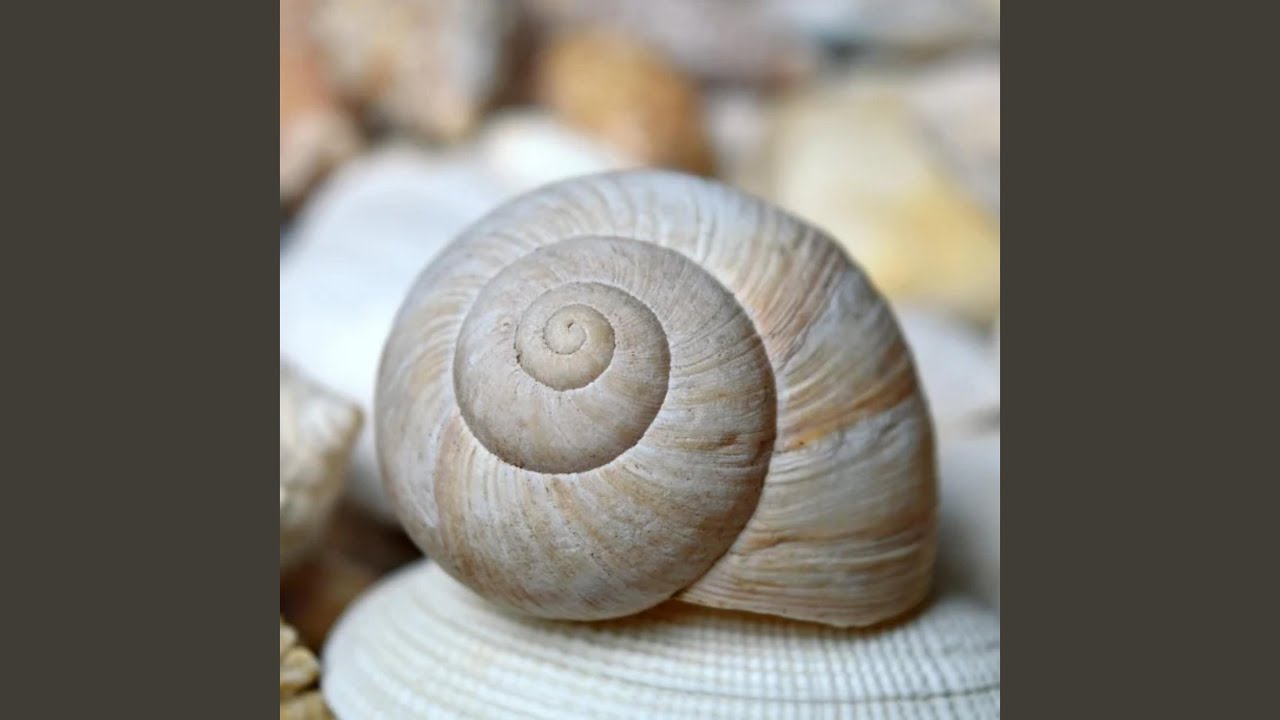 溫柔的治愈力量