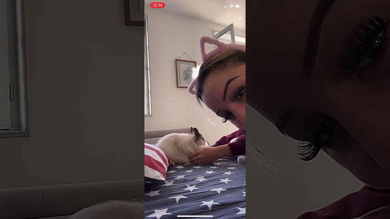 @maelleane9530