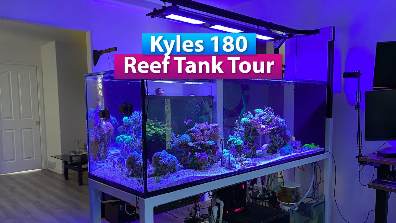 Kyle's 180g Saltwater Aquarium Reef Tank Tour