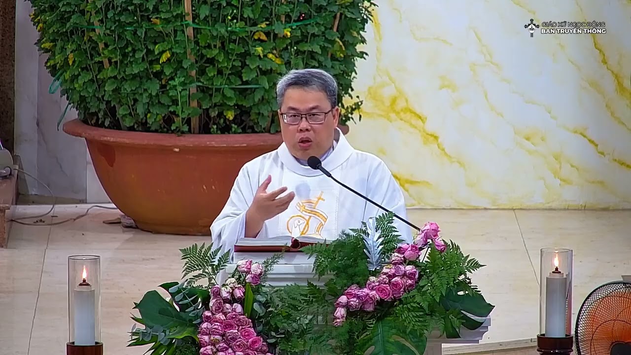 Bài Giảng Cha Phaolo Martino Trần Hoàng Khoa Nam || Thứ Ba V Thường Niên Năm A || 10.02.2026.