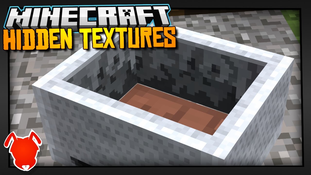 COMPLETELY HIDDEN TEXTURES in MINECRAFT?