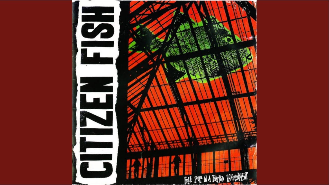 Citizen Fish - Small Scale Wars