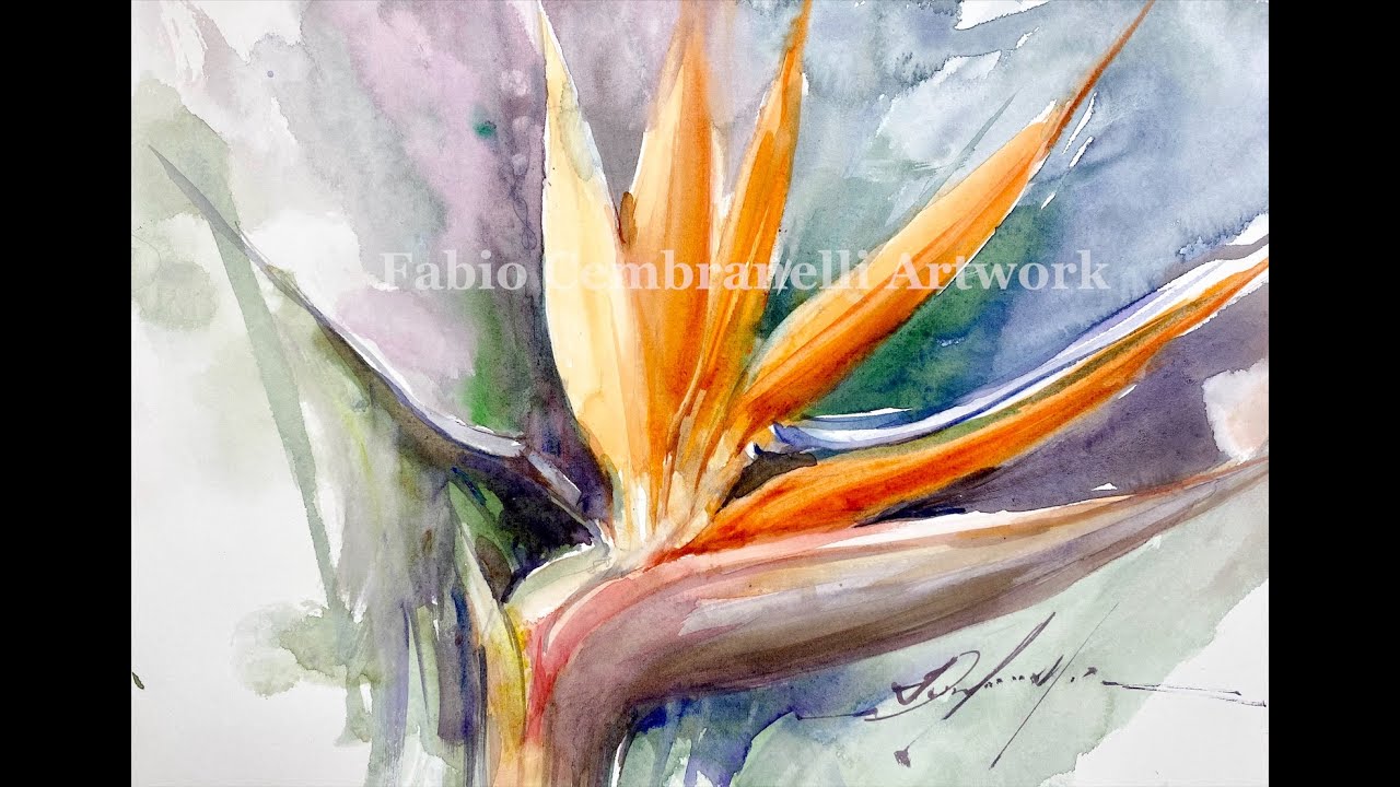 Watercolor/Aquarela -Demo - Bird of Paradise