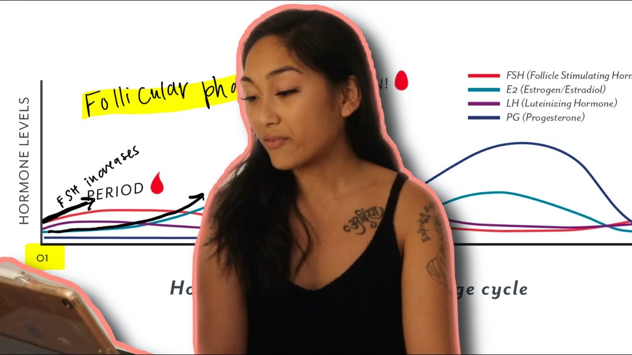 hormones of the menstrual cycle + my hormones in hypothalamic amenorrhea recovery