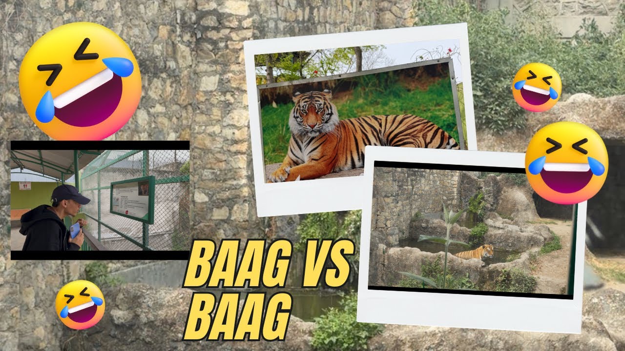 Zoo jada baag vs baag ko jhagada 😱😱 #nepal #viral #dailyvlog #zoo 