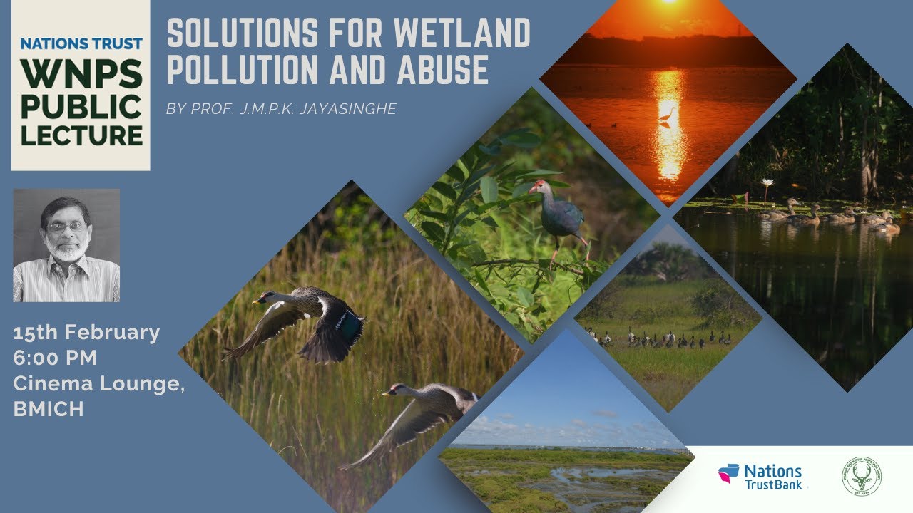 WNPS Monthly Lecture: Solutions for Wetland Pollution and Abuse