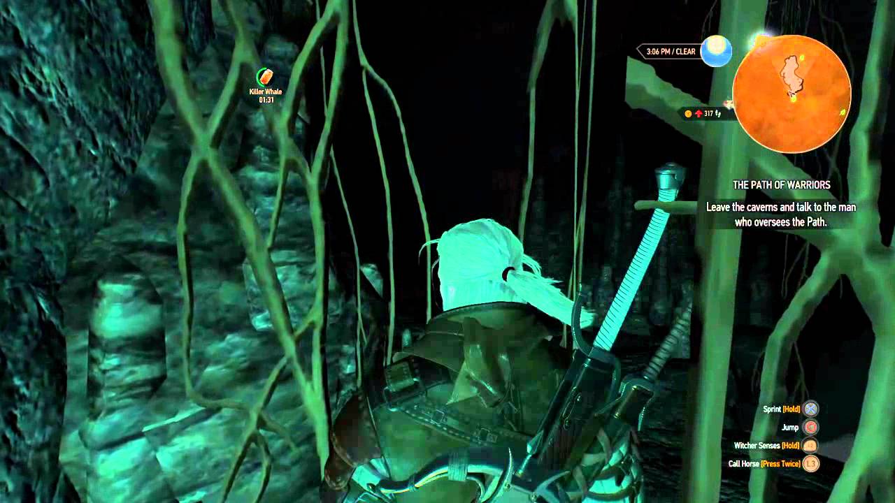 The Witcher 3: Wild Hunt quest THE PATH OF WARRIORS