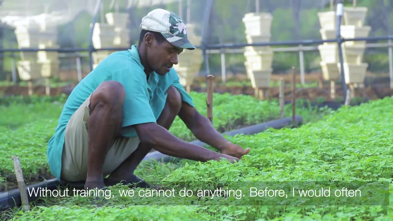 Supporting social enterprise development in Haiti | Haven's 