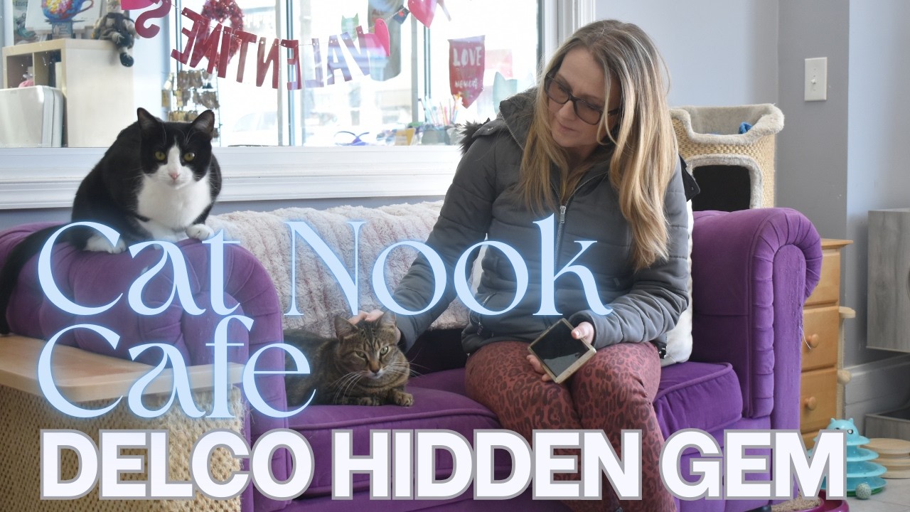 Visiting the Cat Nook Cafe