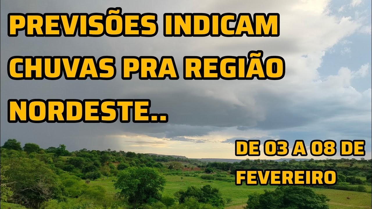 COMO VAI FICAR AS CHUVAS NO NORDESTE ENTRE 3 E 8 DE FEVEREIRO..#clima #chuvas # tempo.