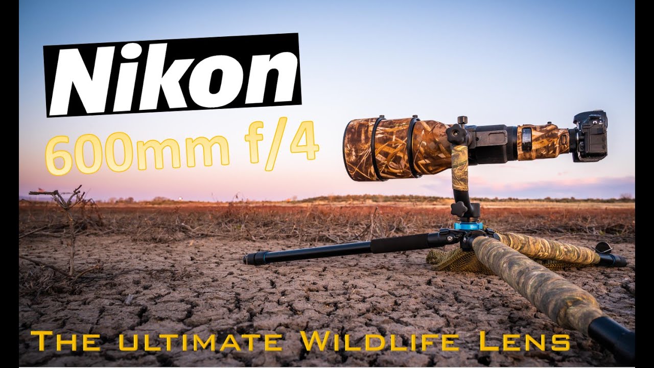 Nikon lenses! Review! Nikon 600mm F4. The best lens for wildlife photography!