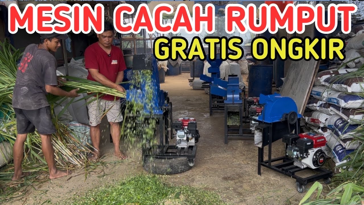 GRATIS ONGKIR MESIN CACAH RUMPUT LEHER ANGSA