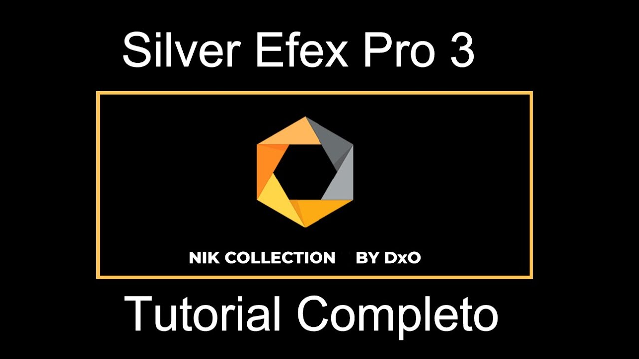 Silver Efex Pro 3 ITALIANO - Nik Collection