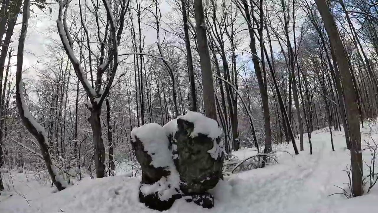 Mid-March fresh snow in Gatineau Park.