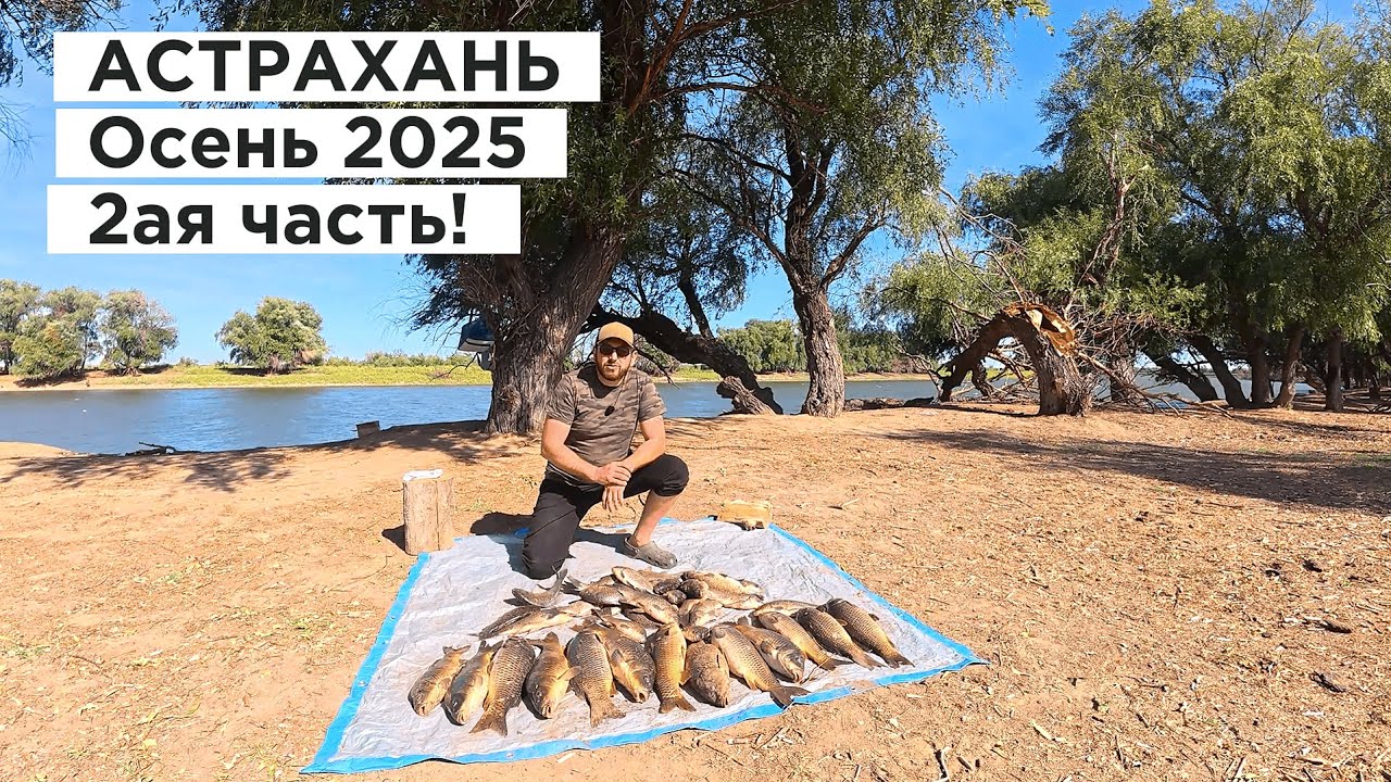 Астрахань Дикарем Осень 2025 2ая часть!