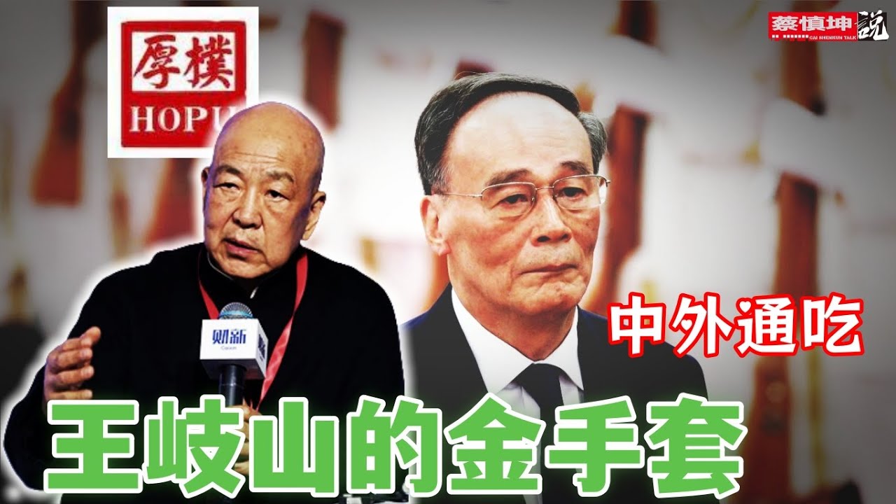 王歧山的金手套｜中外通吃｜戏耍高盛二十年｜（20241117第345期）#传闻焦点