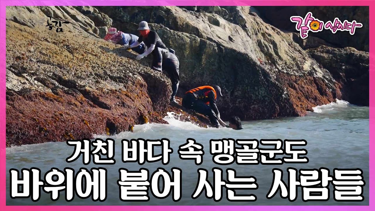바다가 거세 양식도 할 수 없는 섬. 우물도 없어 빗물을 받아쓰는 이 섬에 사람들은 왜 붙어 살고 있는 것일까? I KBS 2018.08.11 다큐공감 방송