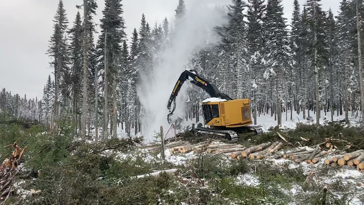 Michael Bélanger 822 tigercat secteur mont louis