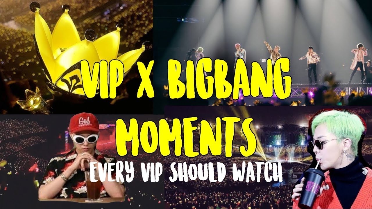 BIGBANG x VIP MOMENTS (every VIP should watch)