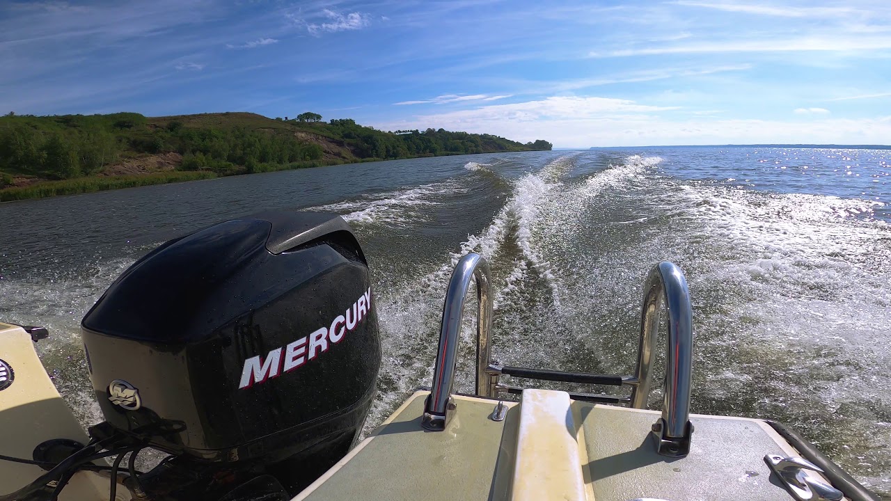 Mercury 60 efi four stroke
