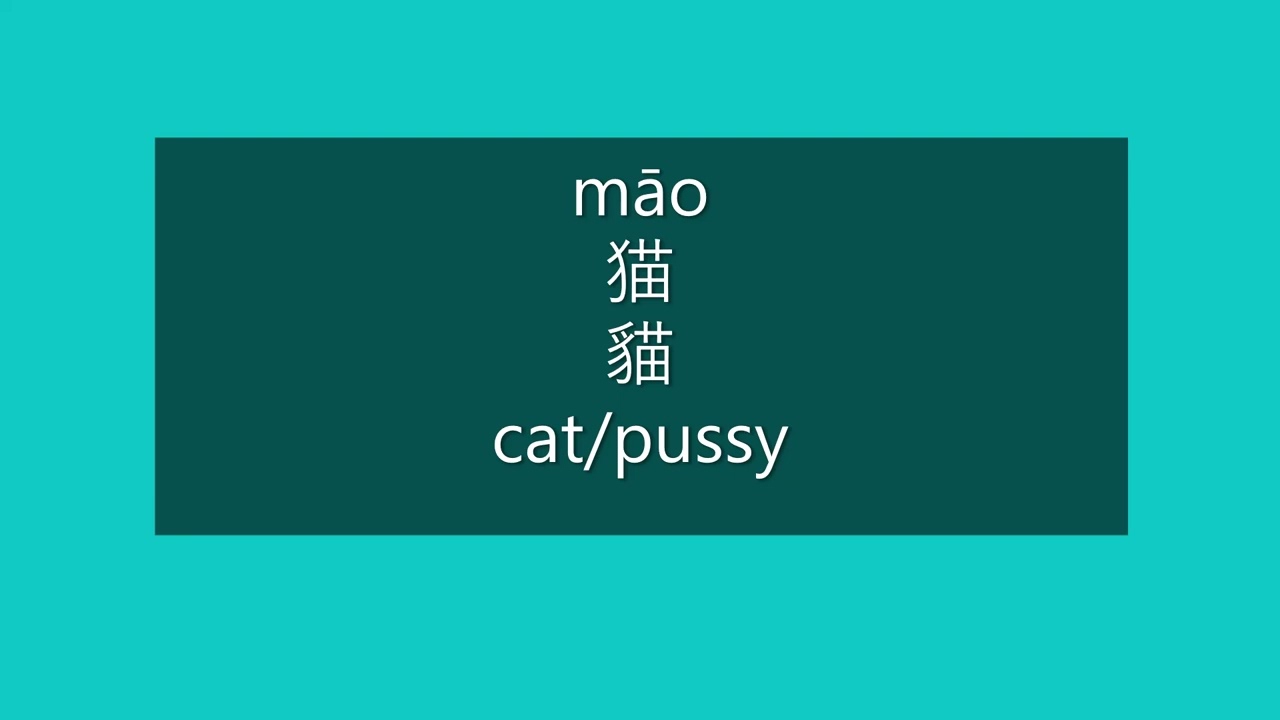 How to Say CAT, PUSSY in Chinese | How to Pronounce CAT, PUSSY in Mandarin | Learn Chinese HSK 2
