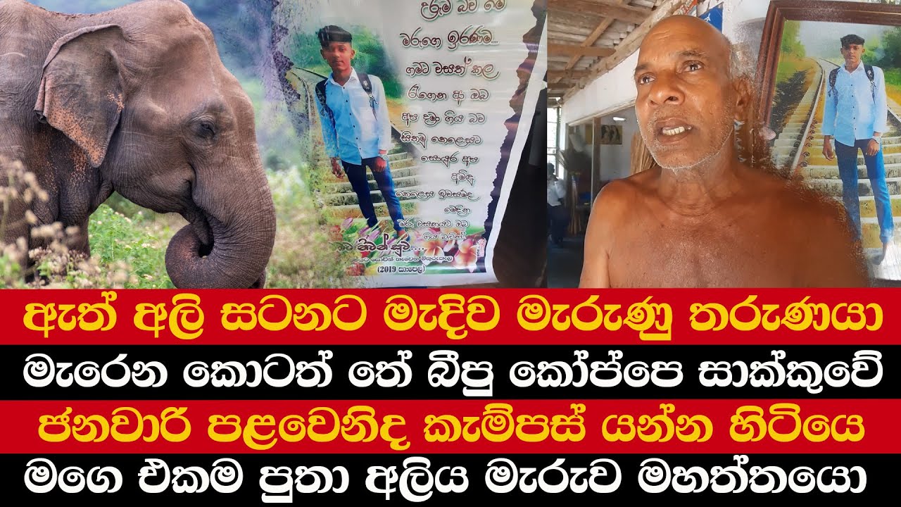 අලිඇත්තු ගහගද්දි ගියොත් විනාශයි | මැරෙන කොටත් තේ බීපු කෝප්පෙ සාක්කුවේ | ජනවාරි 1 කැම්පස් යන්න හිටියෙ