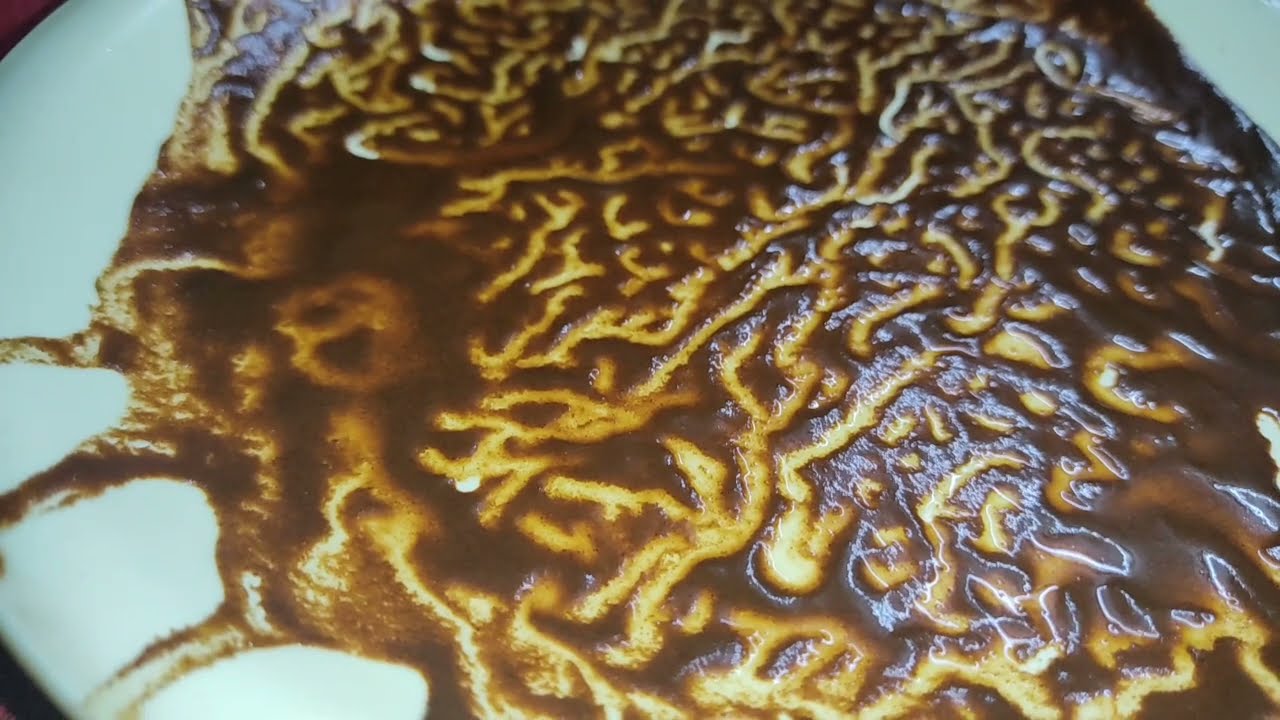 برج القوس ♐ راجع كله ندم هيعرفك سر بعد عنك حسد أقرب ماليك كارمه هتظهر على الظالمين #القارئه_ام_احمد