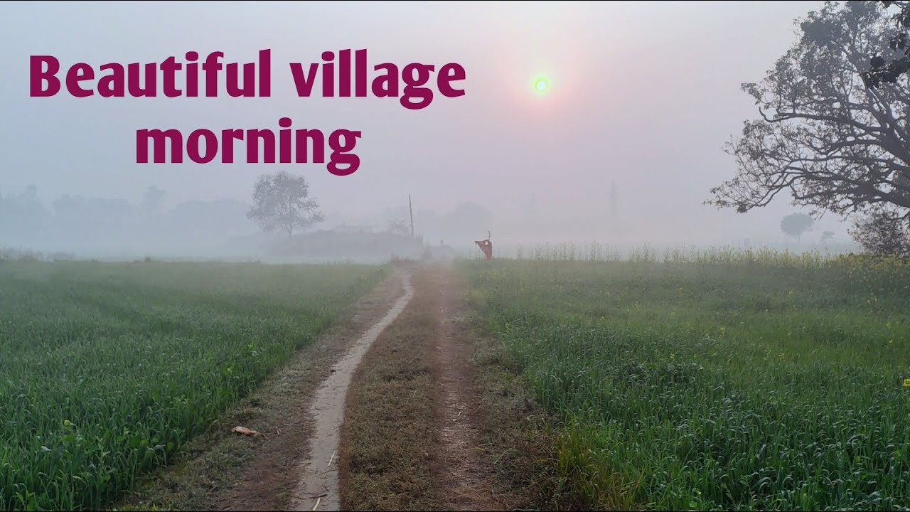 beautiful village morning | सुबह-सुबह गांव के खेतों का शानदार नजारा