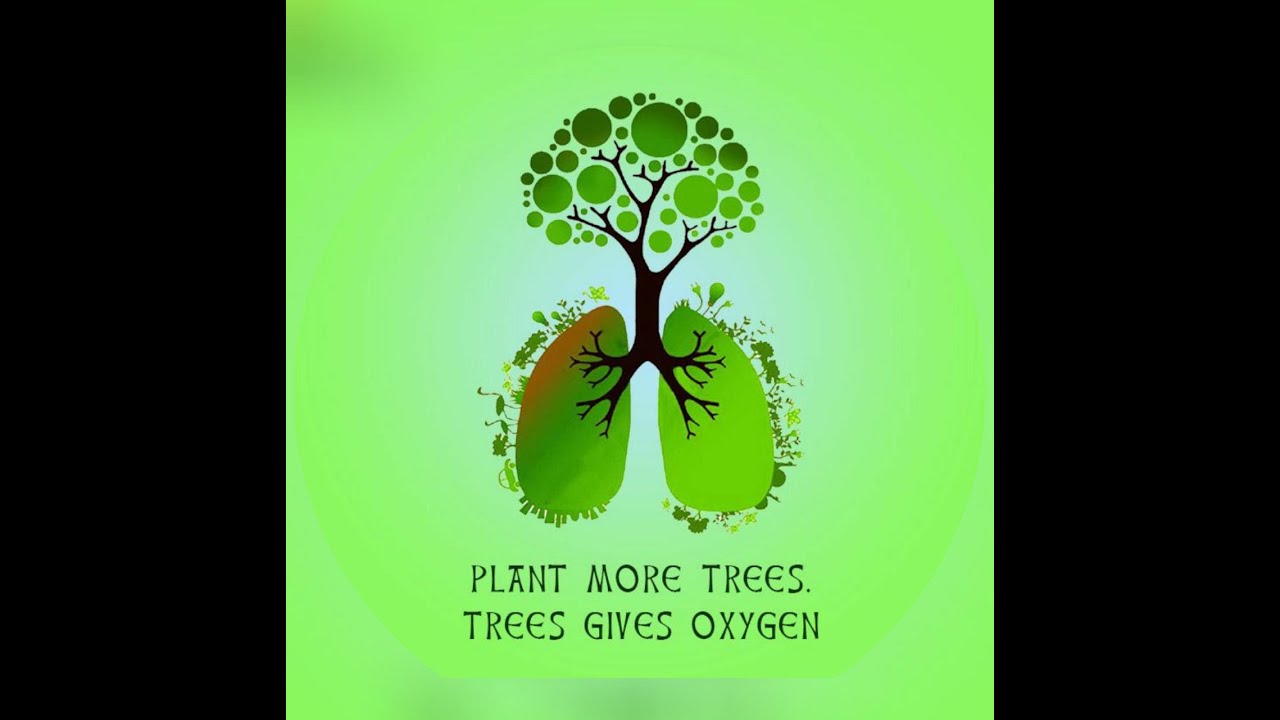BBMP Plots for sale in Varthur | Plots in Bangalore | For Info Call 8050001076