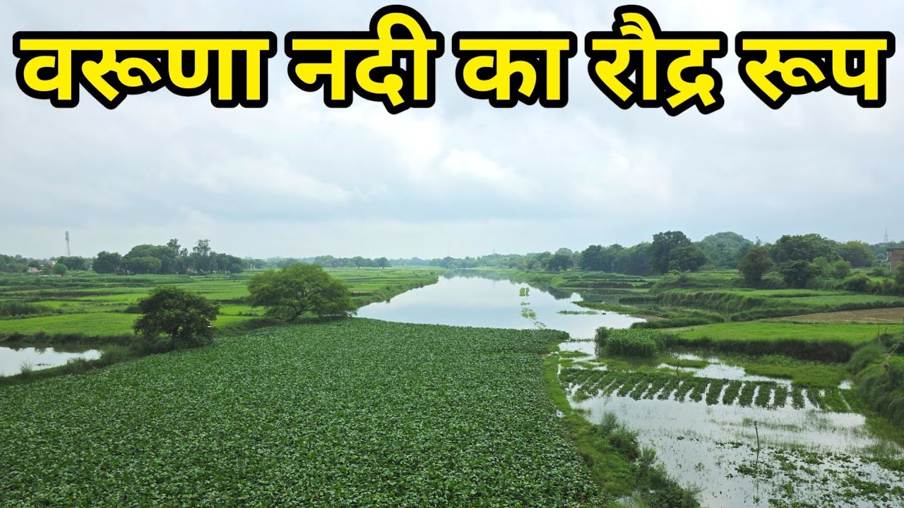 Varuna River's fierce form! Varuna River Flood Varanasi 2025! Flood in Varanasi 2025