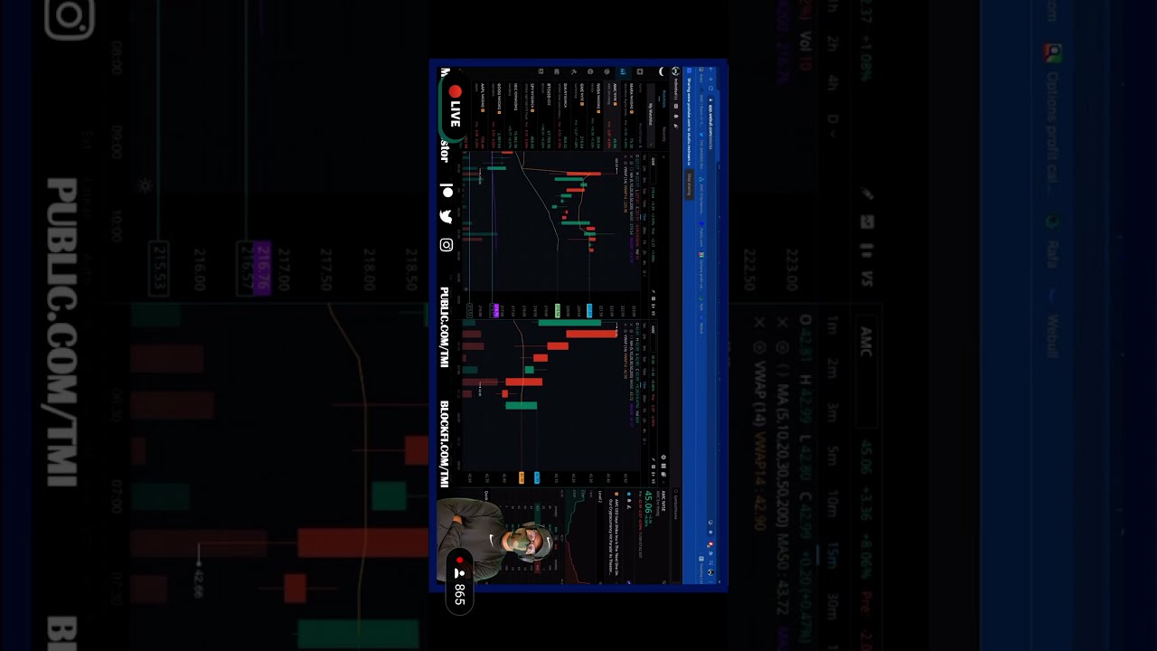 The Masked Investor Talks About AMC Earnings Call and About The Hedge Funds Losing Money 💰 😃
