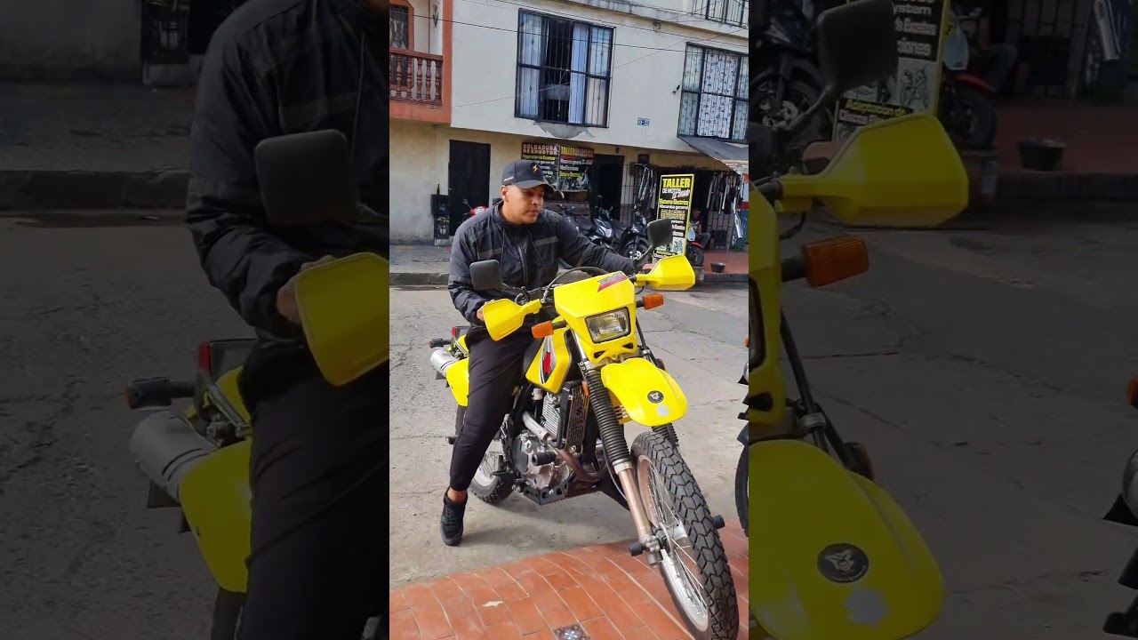 Suzuki Dr650 o  Freewind 650?