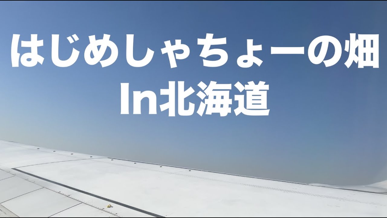 北海道に行くことになった