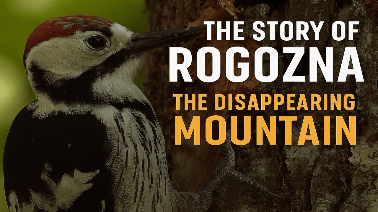 The Story of Rogozna: The Disappearing Mountain | Where Nature Is Memory, and Memory Is Freedom TSR