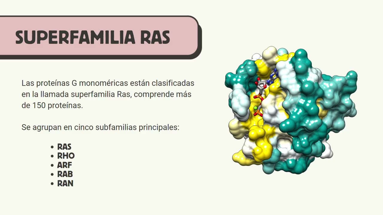 Proteinas G pequeñas