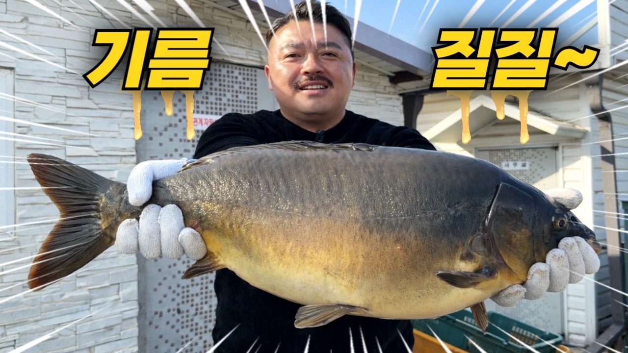 한겨울 방어랑도 안바꾼다는 아주 저렴한 생선 직접 먹어봤습니다!!