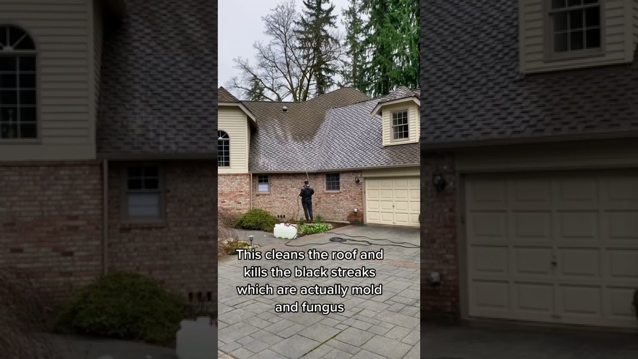 How A Roof Gets Black Streaks And Algae Removed