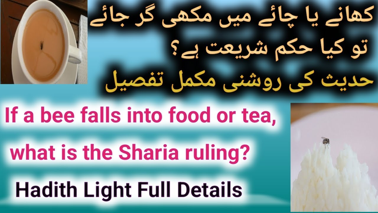 kahne / Pine me makhhi gir jaye | Ahkam Sharia | Compulsory Knowledge