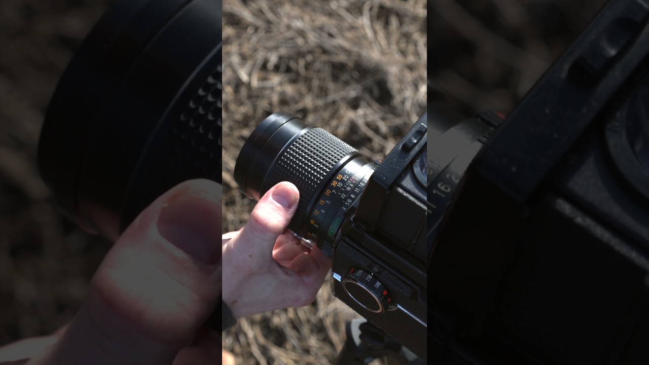 Mamiya 645 with 150mm lens 