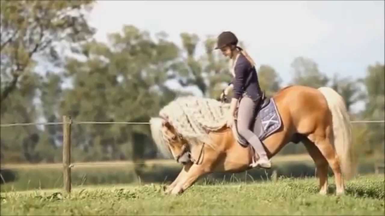 On dit que l'équitation n'est pas un sport .