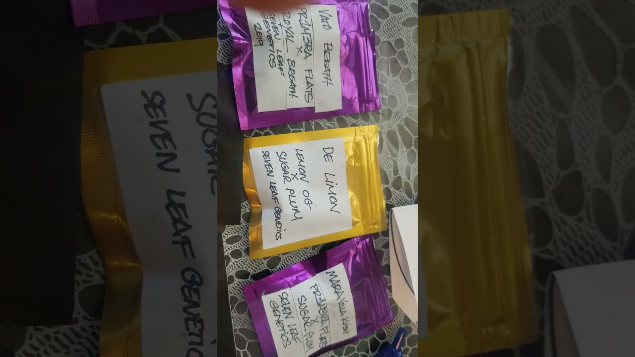 420 Souvenir Seed Giveaway