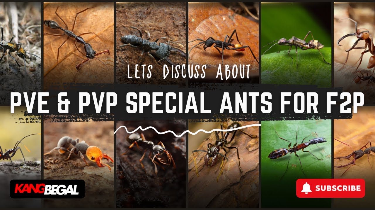 PVP & PVE SPECIAL ANTS F2P SEBELUM PULAU. NEW PLAYERS MUST WATCH THIS - The Ants Underground Kingdom