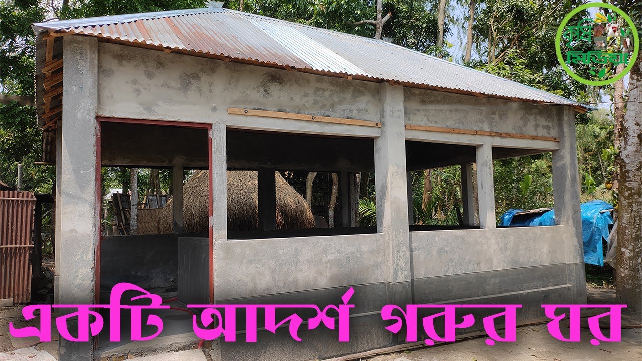 একটি আদর্শ গরুর ঘর, খাবার পাত্র, ঘরের ঢাল, গরুর যায়গা বিস্তারিত।