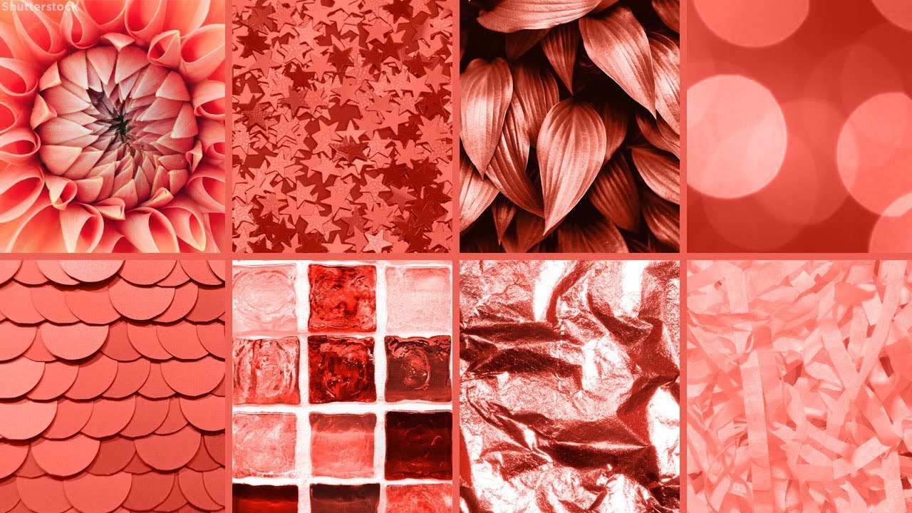 Pantone color of the year 2019: Vibrant 'living coral'