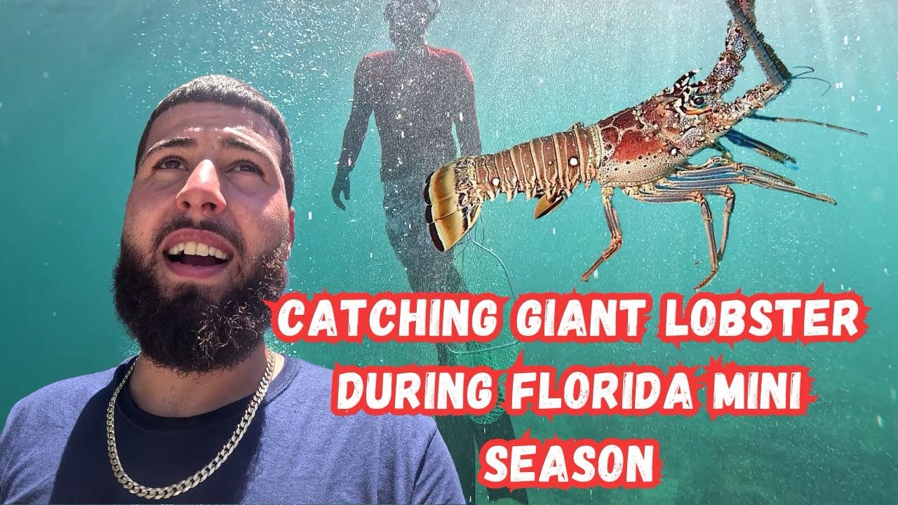 Catching GIANT Lobster During Florida Mini Season 2025! 