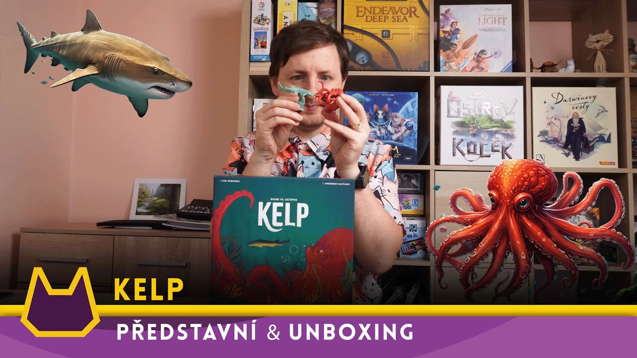 🐙 Kelp: unboxing & představení 🦈